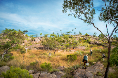 Australian Universities Accord - Interim Report Submission